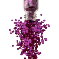 Chunky Biodegradable Eco Glitter - Amethyst 20g By The Glitter Tribe