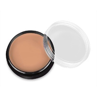Mehron Professional Tattoo Cover Up Makeup Foundation - Light/Medium- 9oz, 25g