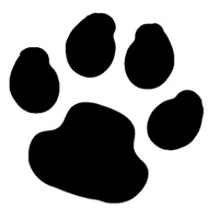 TAG Body Art Vinyl Glitter Tattoo Stencil - Paw Print - No. 125