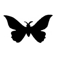 TAG Body Art Glitter Tattoo Stencil No. 33 - Butterfly No. 2 - 5 pack