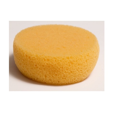Cameleon Sponge