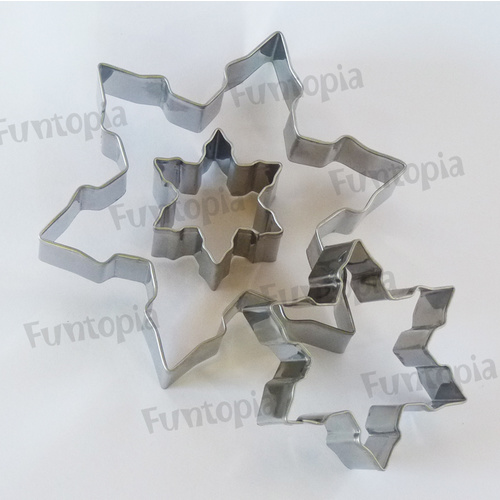 Snowflake stainless Steel Cookie Cutter.