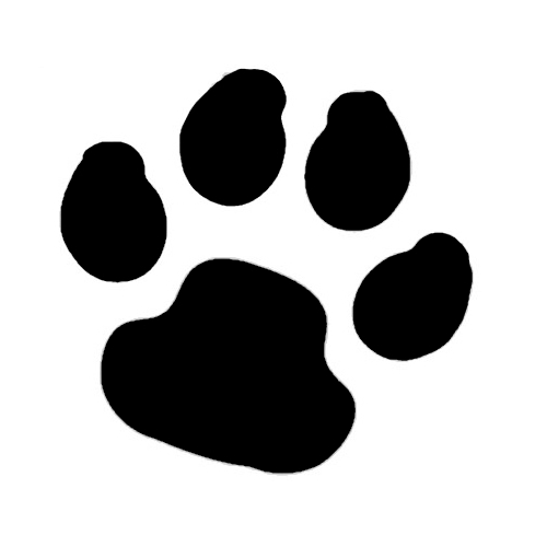 TAG Body Art Glitter Tattoo Stencil No. 125 - Paw Print - 5 pack